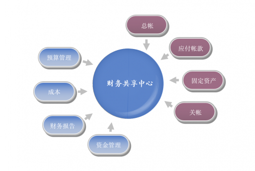 财务#刚毕业的本科会计学生去财务共享中心怎么样啊,有发展吗?