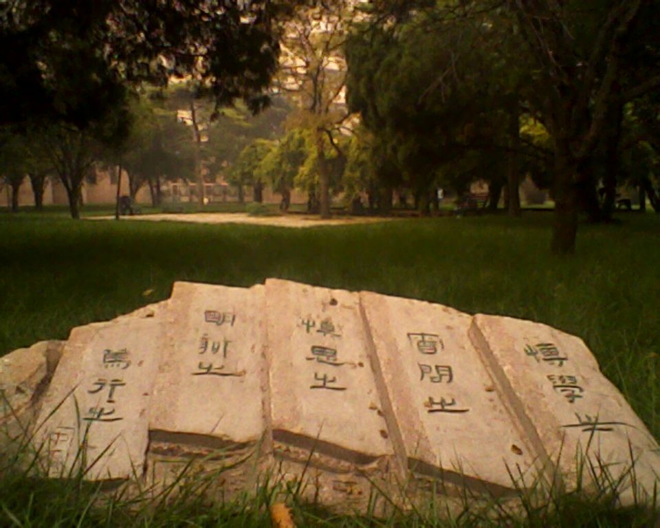 曲阜师范大学#校友们,目前都在做什么工作呢?