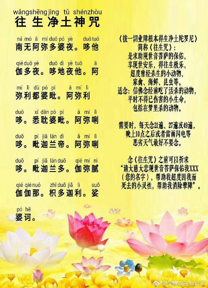 过去师父不讲你们也不知道,念诵了往生咒马上精神就不一样了.