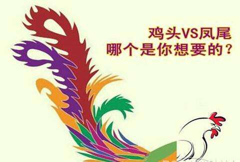 该去小公司当鸡头,还是去大公司当凤尾?