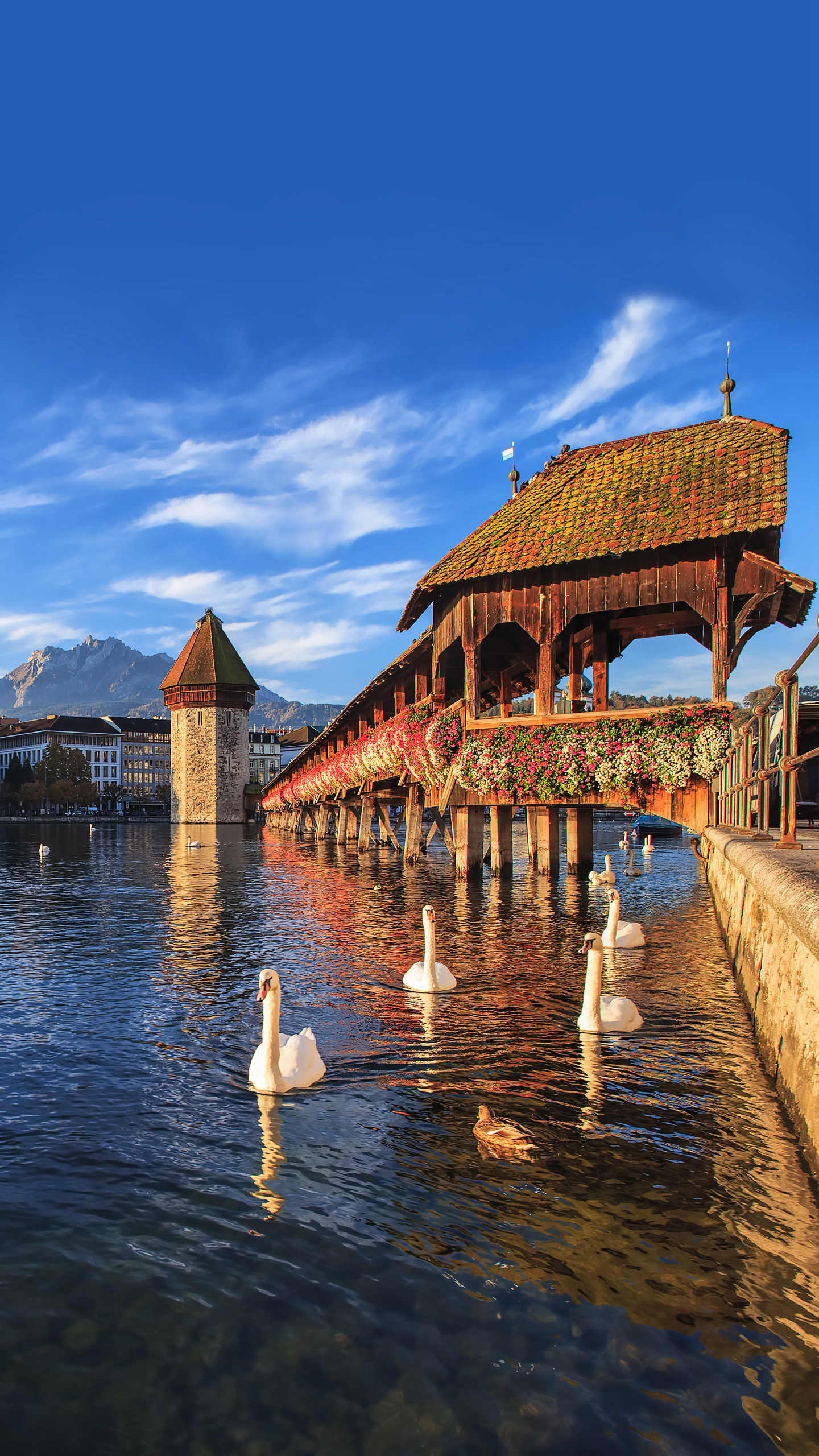 求职求职求职南三环附近