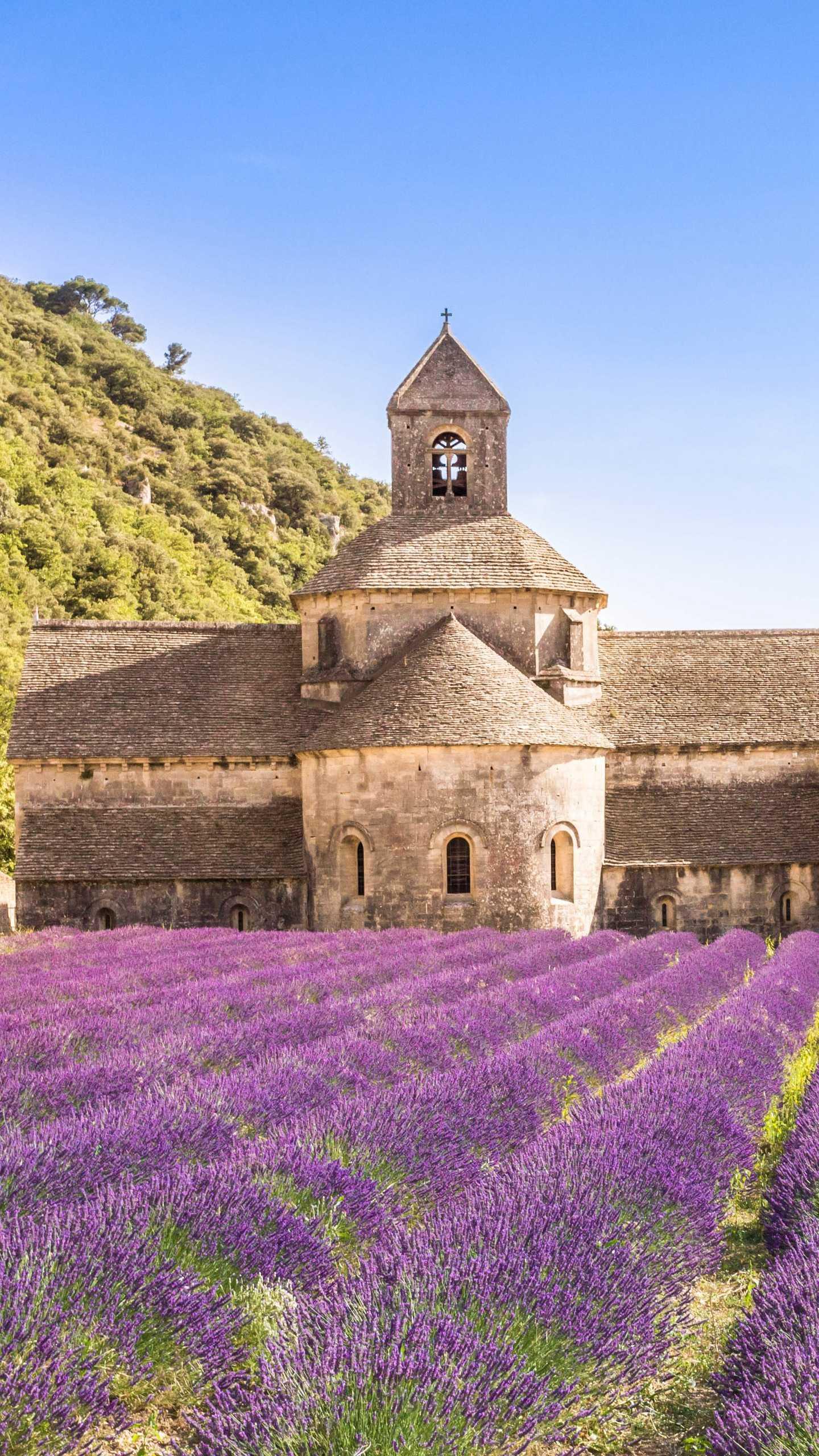 沙壁19-04-20赞0回复没有更多内容