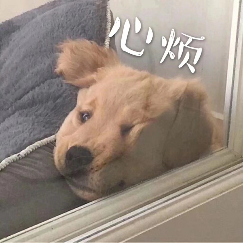 就算我没什么文凭但好呆也是个1024_1024