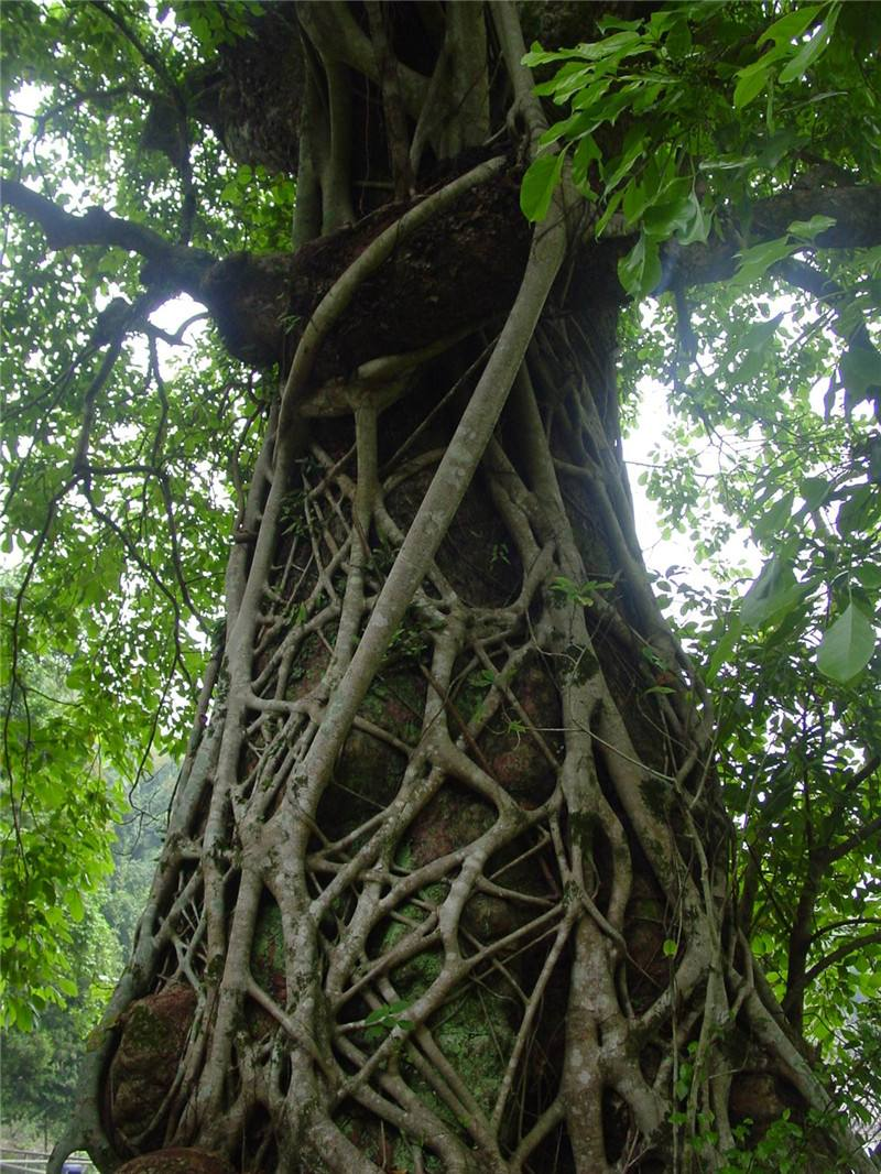 在全球化的今天,优势互补成就了国际贸易,然在竞争大环境中的 em>