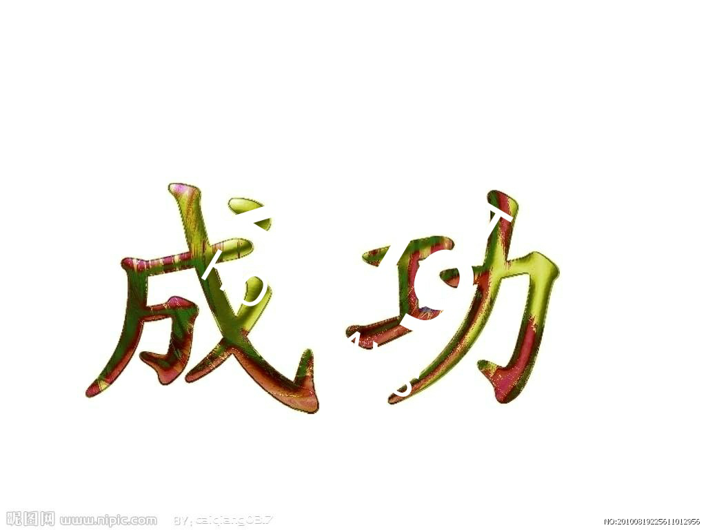 人都应该追求成功吗