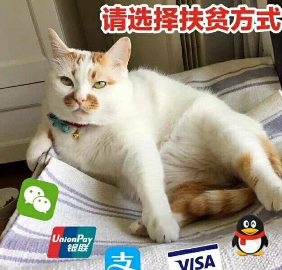 洛阳有没有好心老板帮我一把写借条几千我给您打工