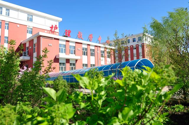 #齐齐哈尔工程学院#有在北上广发展的校友吗?_网友(刘女士)职场问答-