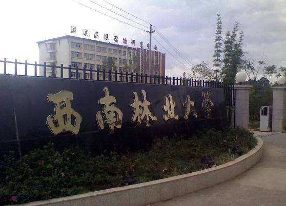 西南林业大学#你对目前的薪资待遇还满意吗?