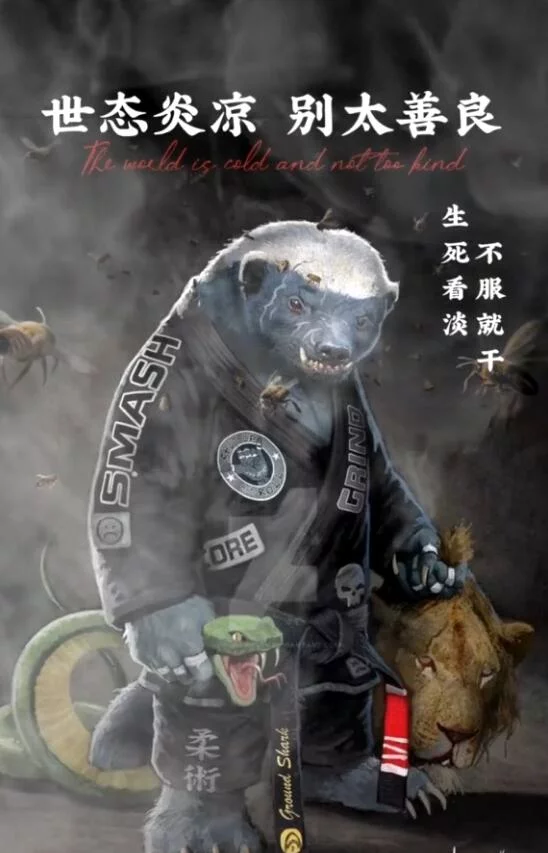 希望找一份稳定白眼狼的说说配图白眼狼图片 讽刺 经典讽刺白眼狼的