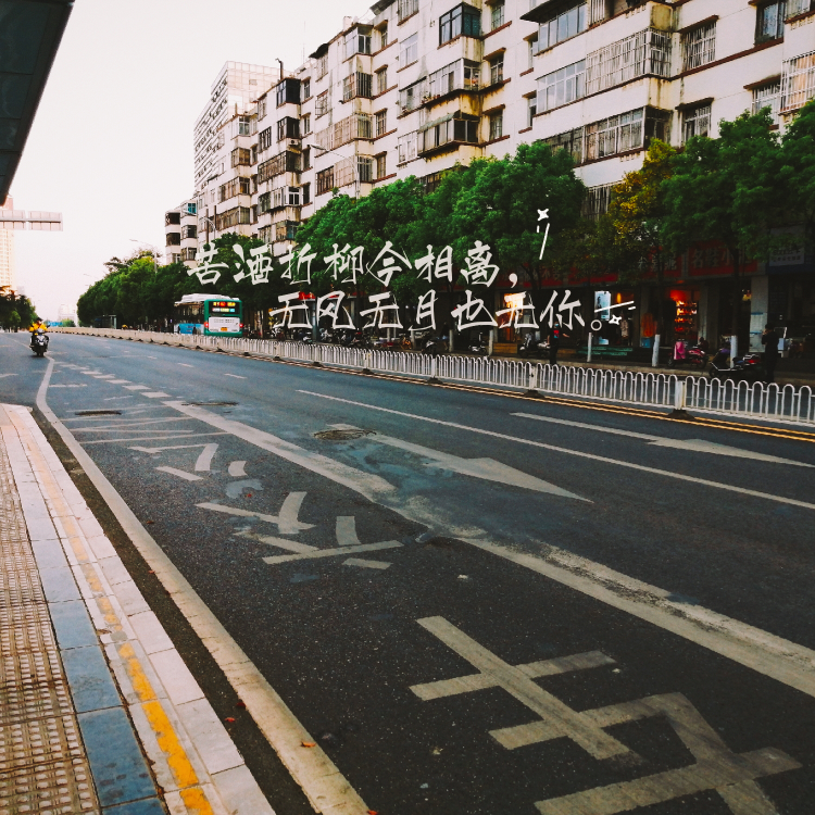 随手拍#文字不是记录人间的唯一方式,可我就是想要明确表达我的心事