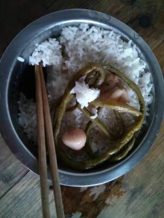 一张图证明自己是真穷今天的午餐下午还要搬半天砖俺有力气