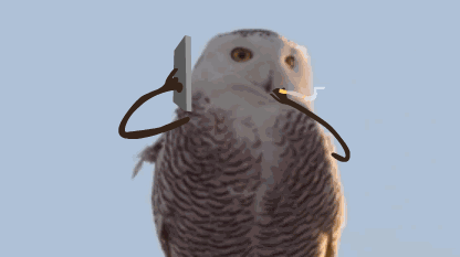 奇葩面试#去面试,按了几遍门铃没人理,好不容易