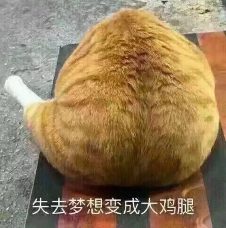 没得公司