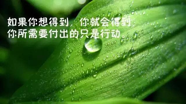 今天你做了哪些努力#5月16日與大家共勉分享[微笑] 每一天,當我們