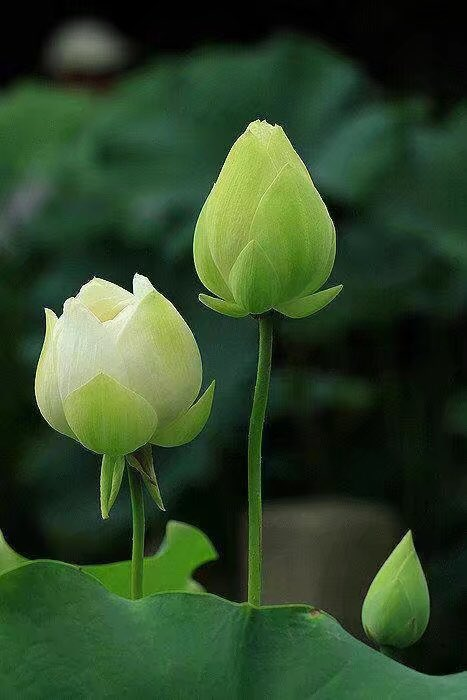 henry898 回答了问题20-05-27#富力集团#待沟通后,多长时间会给我打