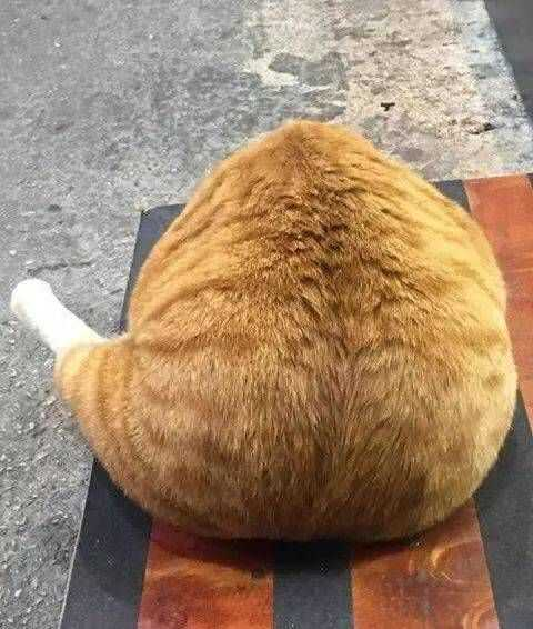 广西工商职业技术学院失去梦想变成大鸡腿在番禺想找个跟单的工作太难