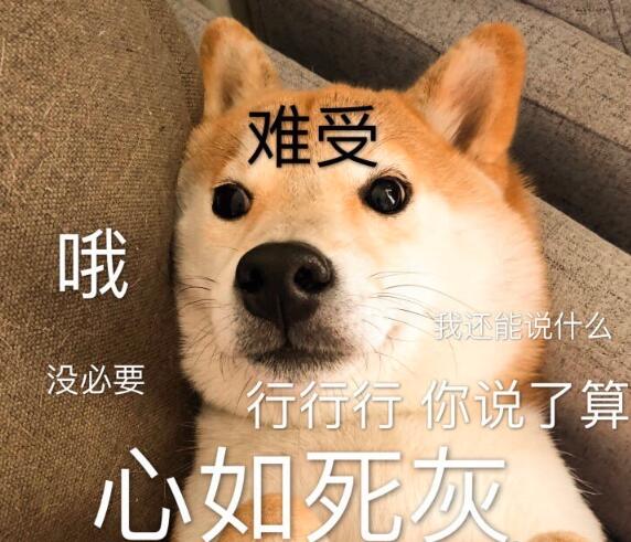 选择困难症我是买个帐篷呢还是买个羽毛球网呢还是