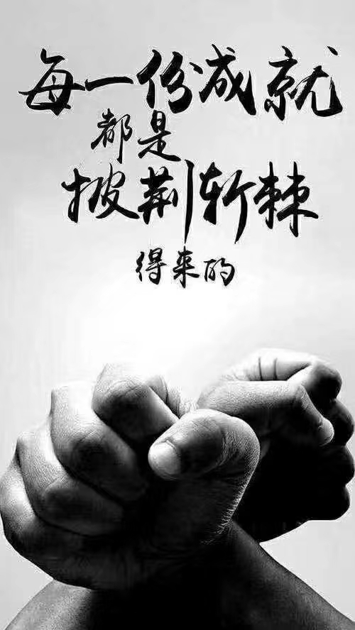 向有结果的人学习,少走弯路 跟有格局的人合作,提高格局 成功不是属于