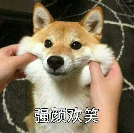 你好哇应届毕业生就读机电一体化专业专科有半年实习工作经验现在想找