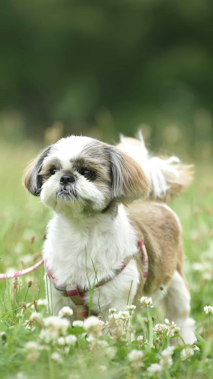 职场相亲角#前天正式离职了,现在正在找工作,也在