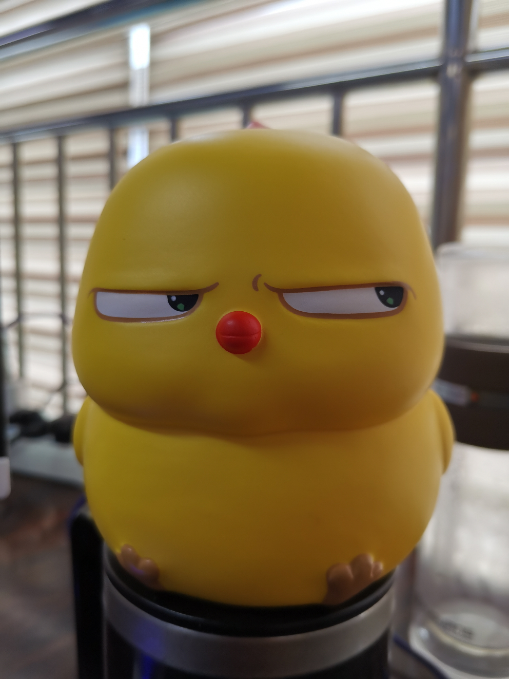 你好哇郑州设计师真心苦平常交际圈太小了