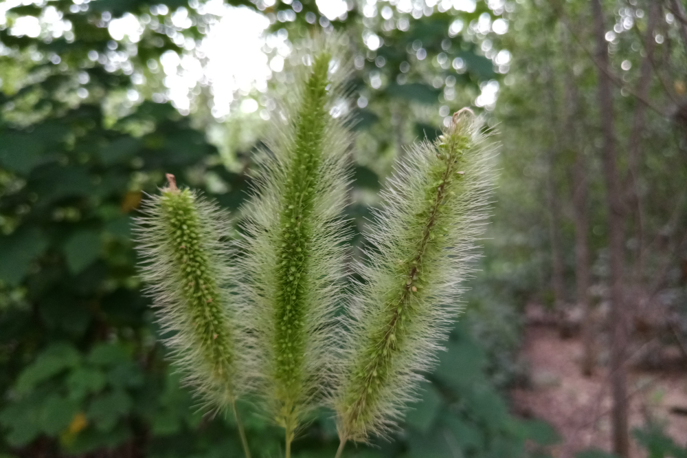 你好哇#上了三根毛毛香,许愿大家都快点找到工作!