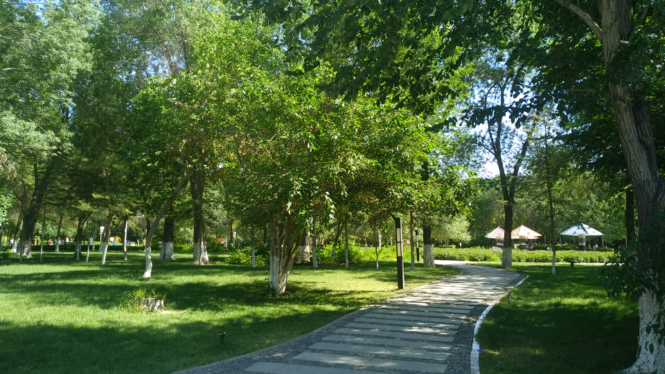 手机摄影大赛#生活中从来不缺乏美,只是需要一双发现美的眼睛.