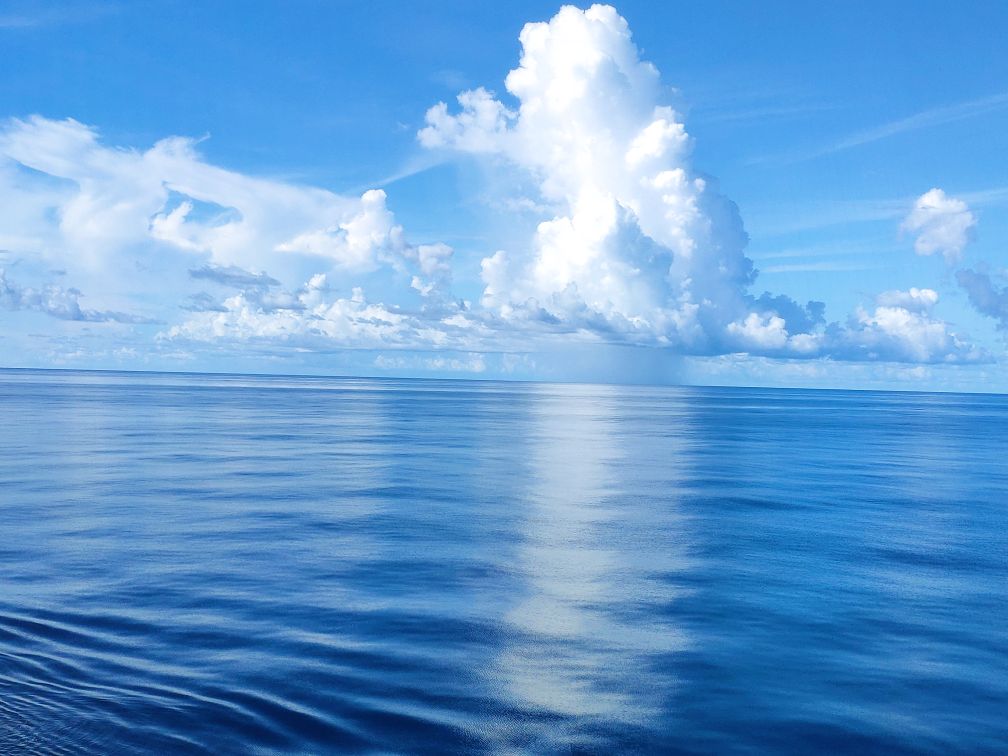 求转运求转运一颗红心向太阳只是自己不够优秀