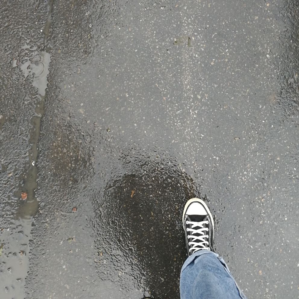 今天依旧是求职中的一天   预报今天有雨 依旧改变