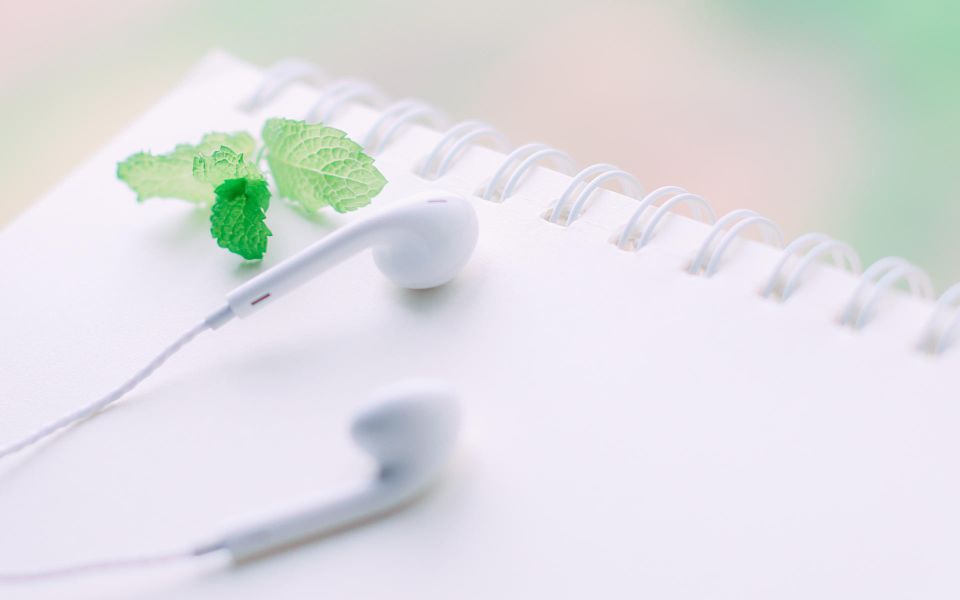 毕业后更是深深体会到了就业的压力.