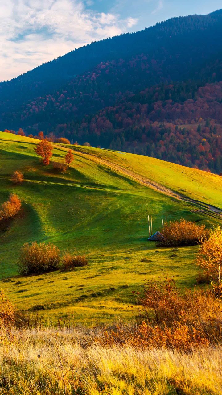 青山绿水风景挺好