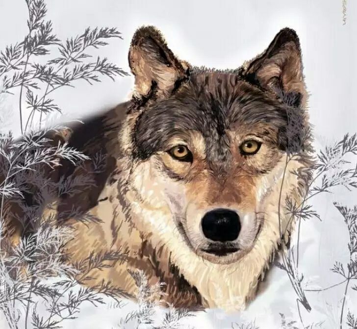 狼群被逼去吃草 有一天,狮子让一只豹子管理10只狼,并给他们分发食物.