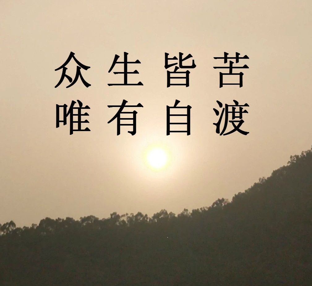 你会选择大小周工作制的公司吗