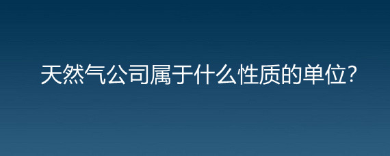 天然氣公司屬於什麼性質的單位?