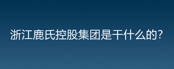 浙江鹿氏控股集團是幹什麼的?