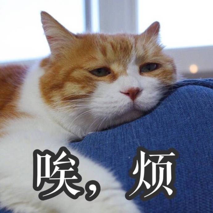 前段时间科室里的职称评定,想争取一把,不料,却被被新来的同事抢先了.