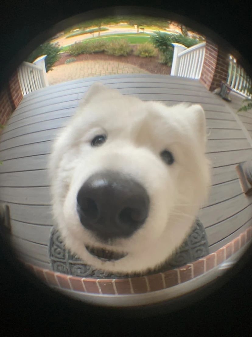 周末 不知道你们有没有遇到过这种? 我是有点反感的.