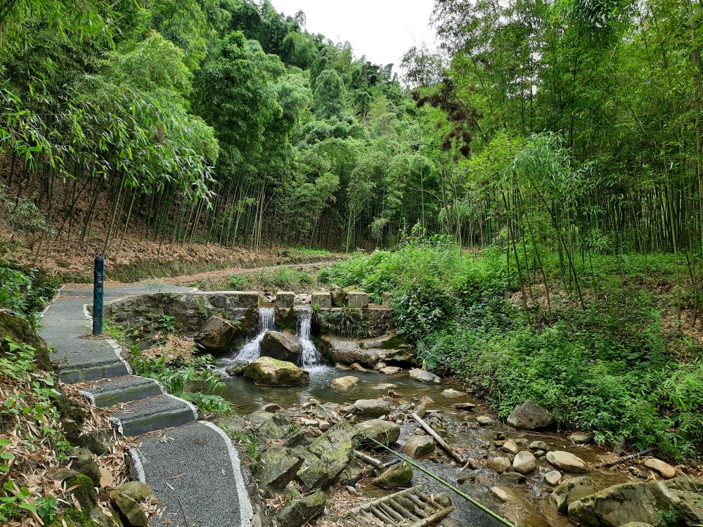 070707古有"蜀南竹海","川西竹海","花龙沟竹海",今天"铜马沟