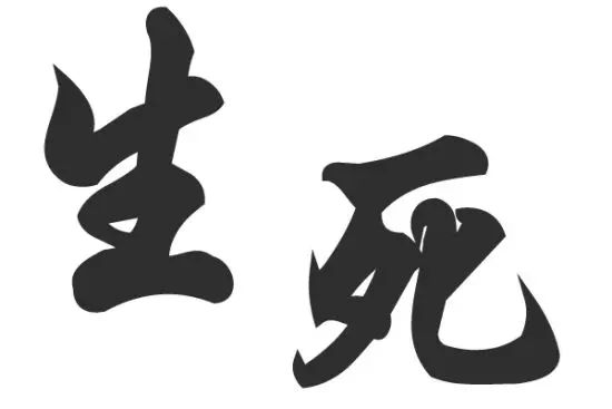 市场运营与规划