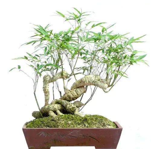 zhixingheyi认为一个管理者做到下面五条,在管理上才叫与时俱进: 1