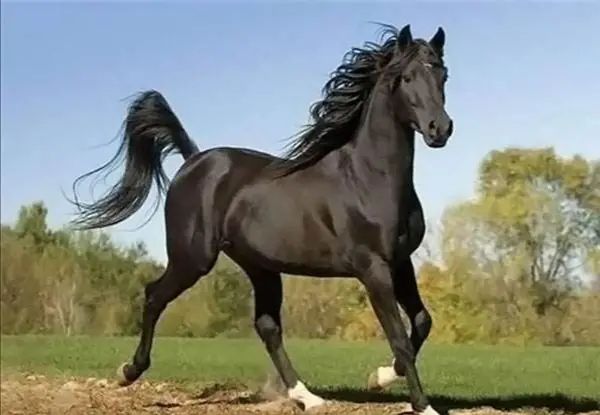 职场中沉默还是金么