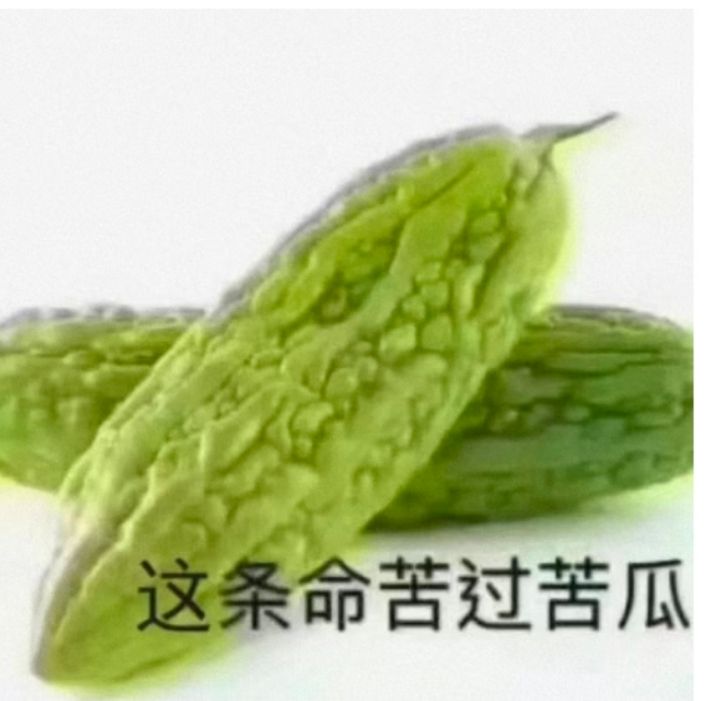 求职日记#成都工作太难找了吧,有没有推荐呀,本人女,本科