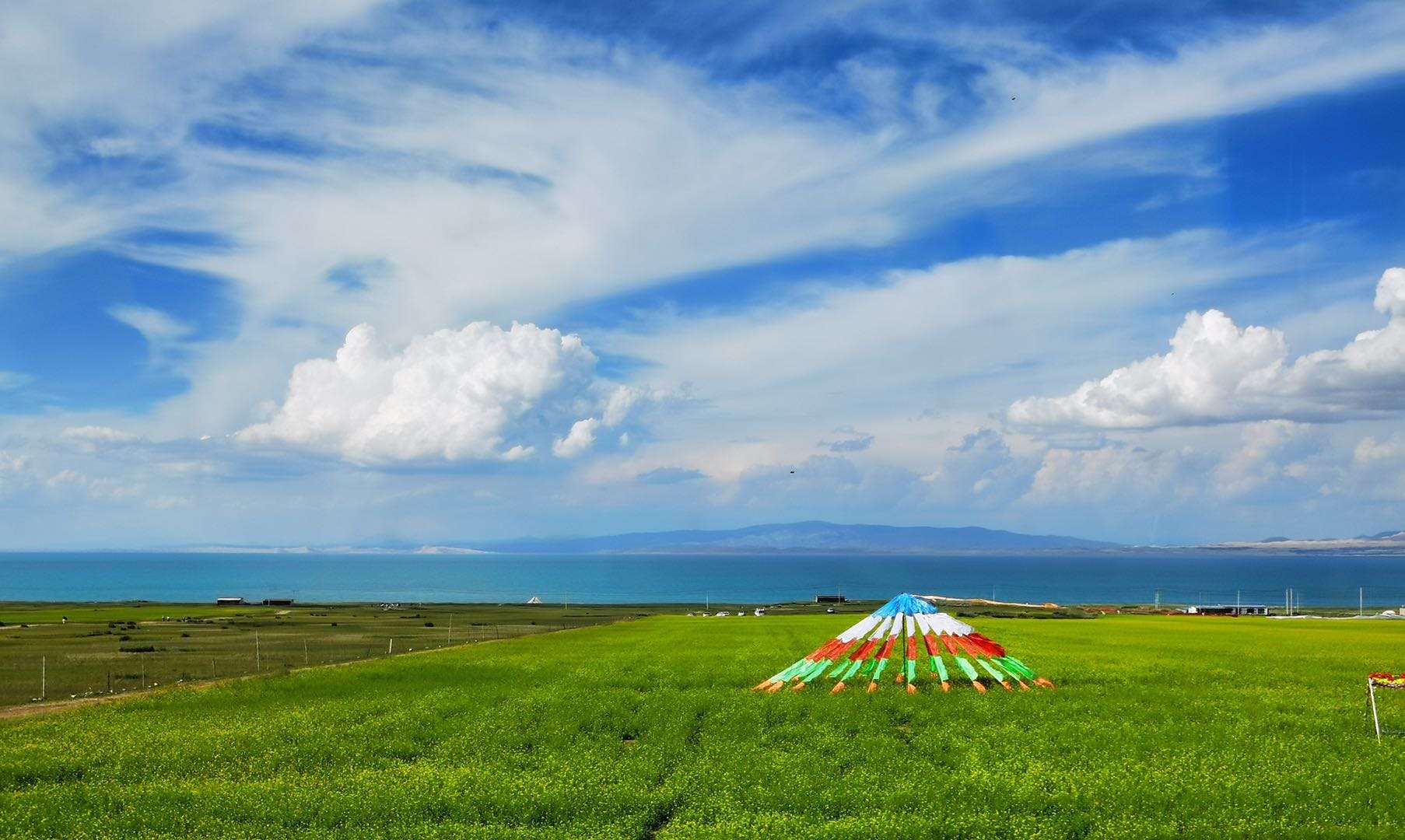 夏日印记#夏天是青藏高原上吹过的风