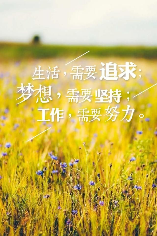 个人成长#每天进步一小步,一段时间下来就是进一段路.