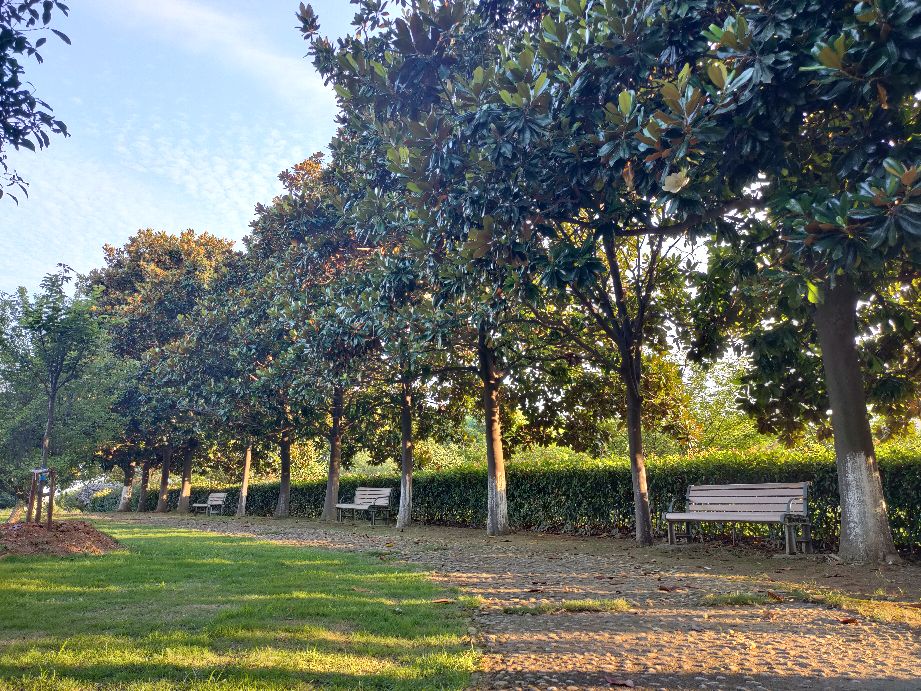 公司位于武汉市黄陂区六指街大咀村望家田188号,处于长江新城中心范围