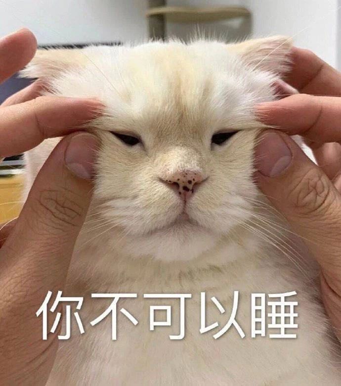 希望大学可以带走我所有的坏毛病和臭脾气,690_780