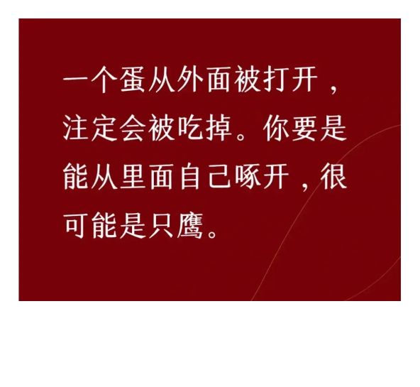 成长的代价就是:切割掉从前所有,变成另一个陌生的自己!