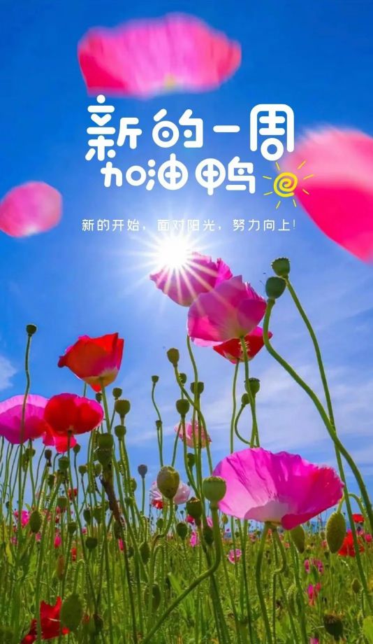 万能钥匙