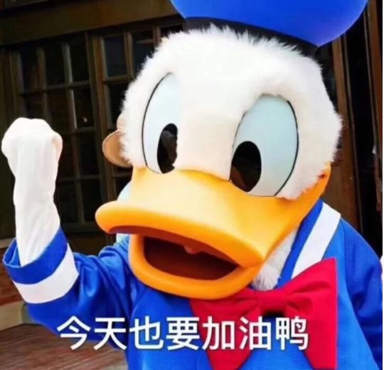个训老师