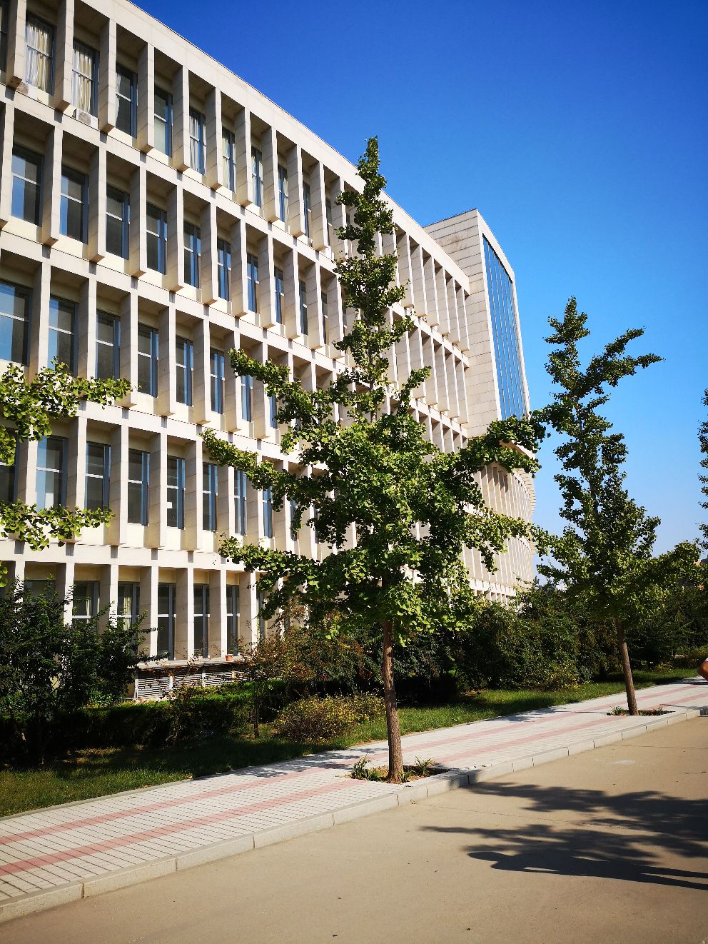 山东理工大学